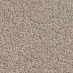 1020 Ivory