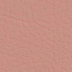 2114 Rose