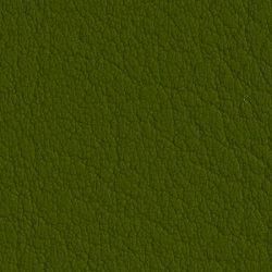 5001 Olive