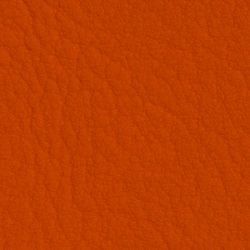 6019 Naranja