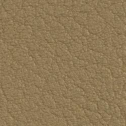 6020 Gold