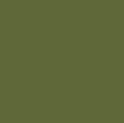 Olive,  Pantone 5753