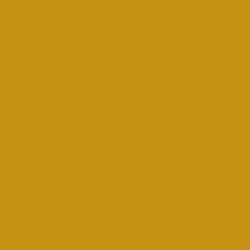 Mustard  Pantone 1245