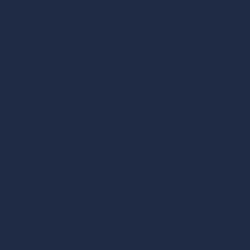 Navy Blue  Pantone 533