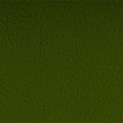 Tapizado Valencia Olive